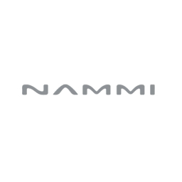 Dongfeng NAMMI